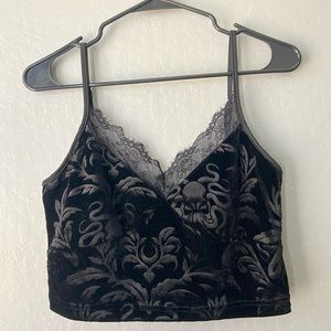 Velvet and Lace Crop Top